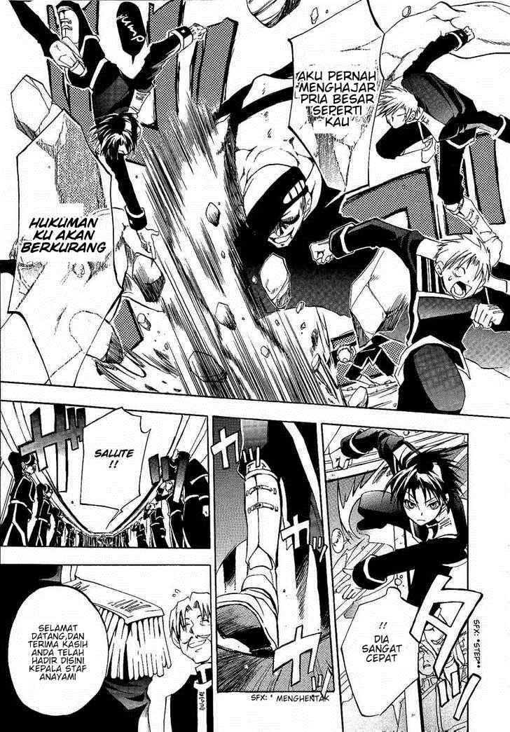 Panel 17