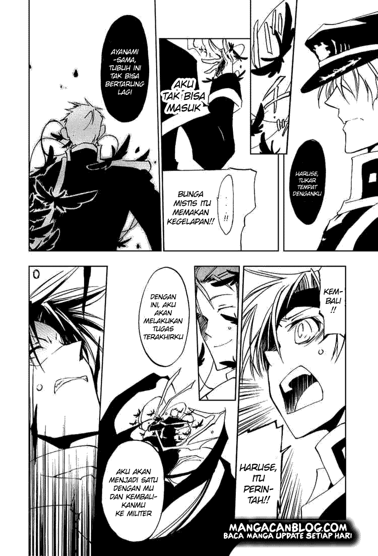 Panel 19
