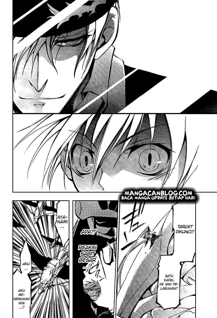 Panel 11