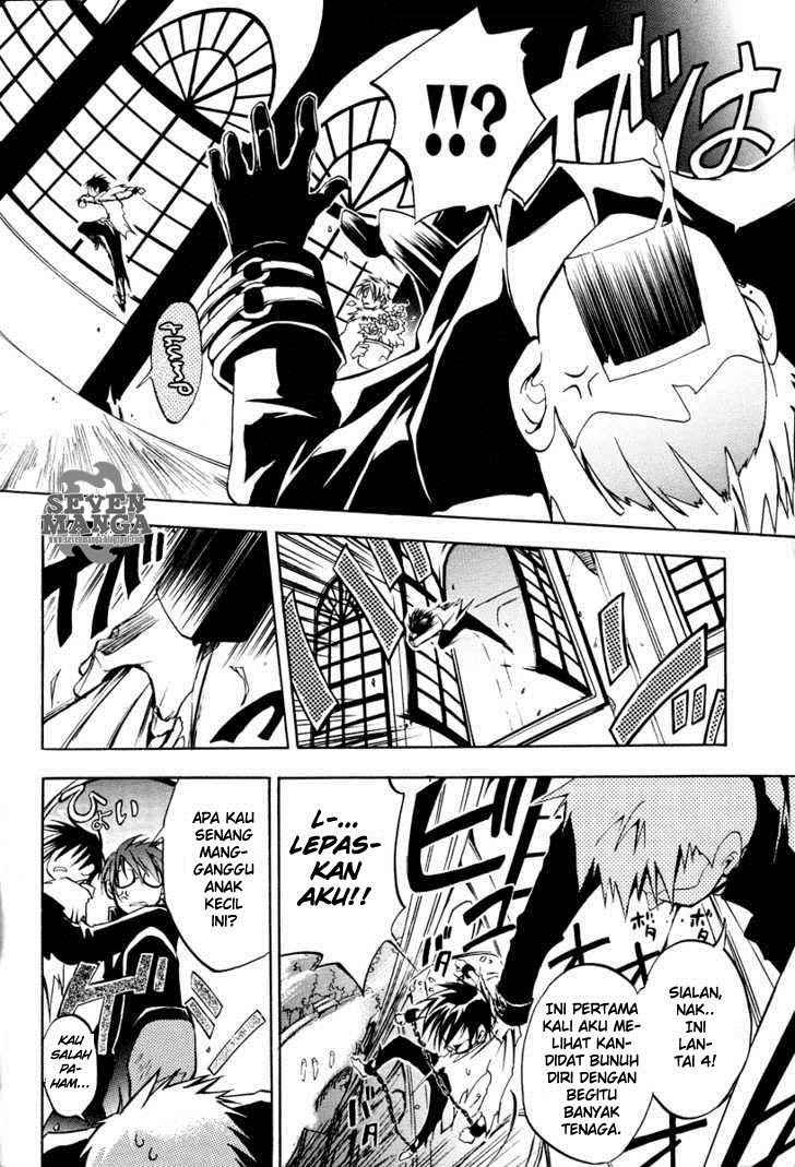 Panel 7