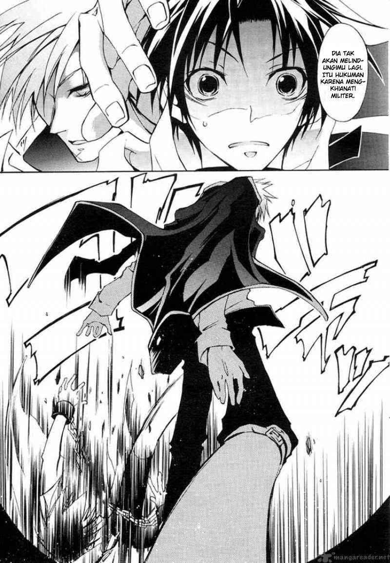 Panel 7