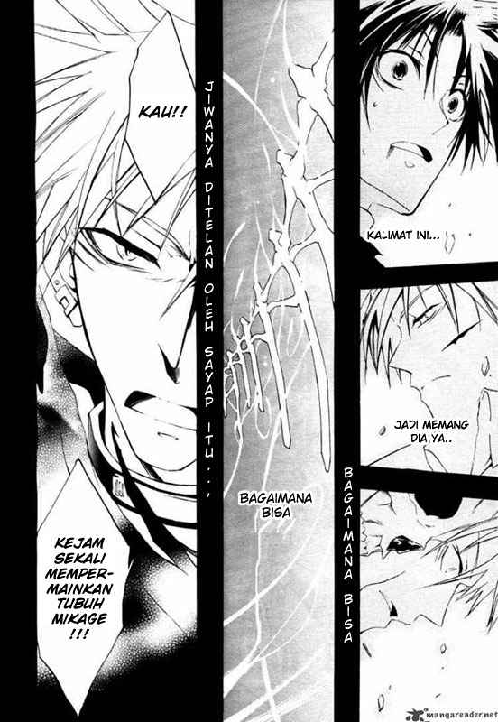 Panel 7