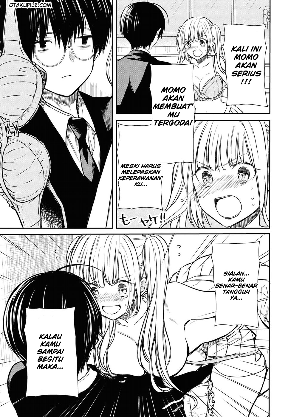 Panel 17