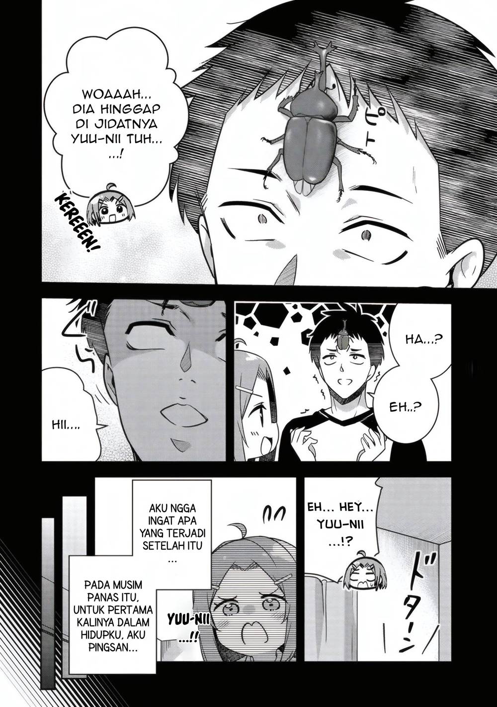 Panel 11