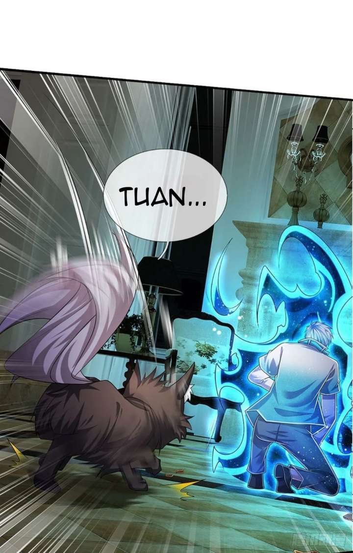 Panel 7