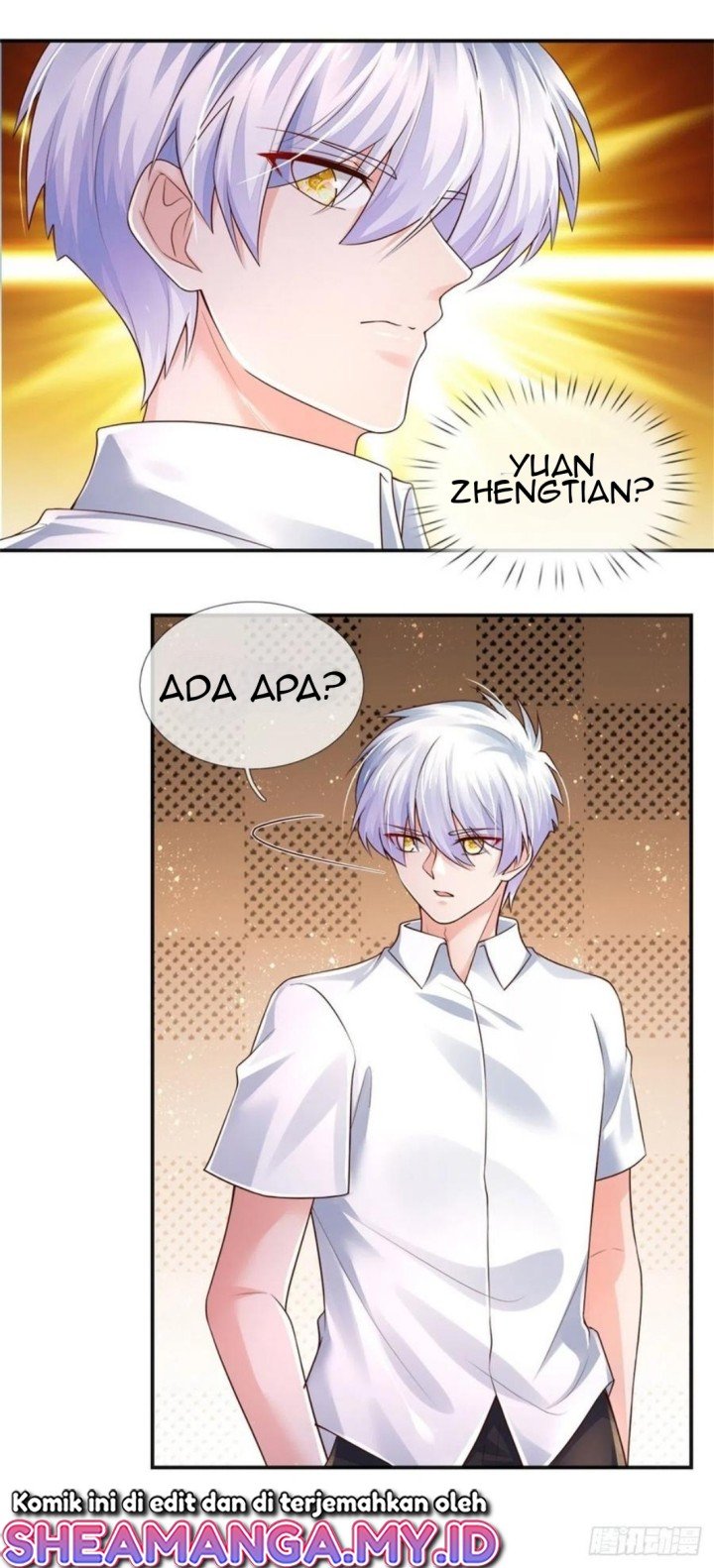 Panel 17