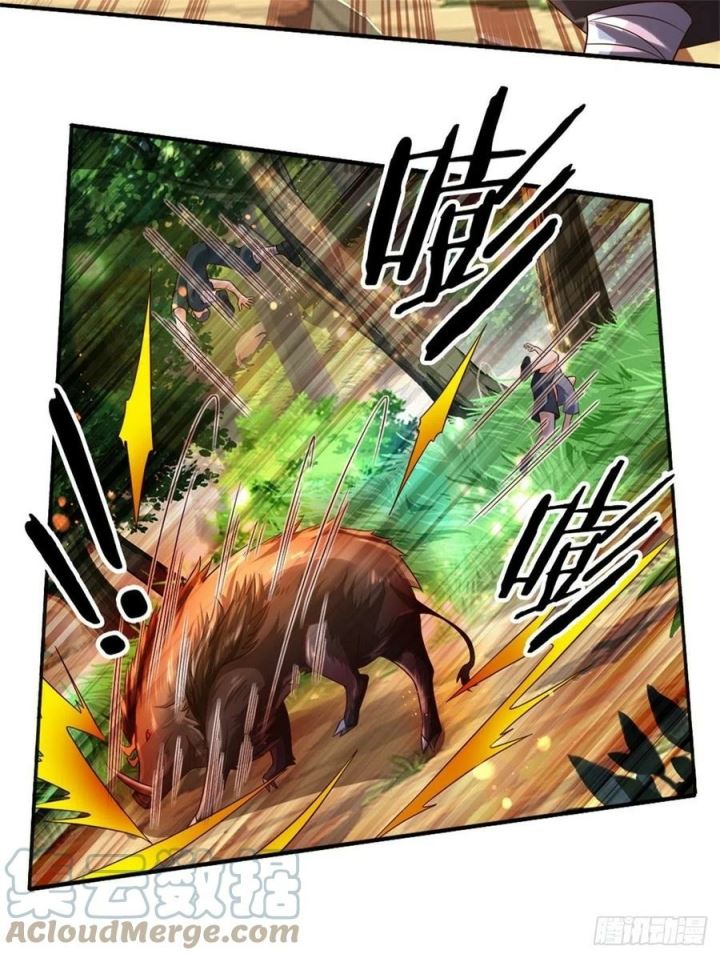 Panel 5