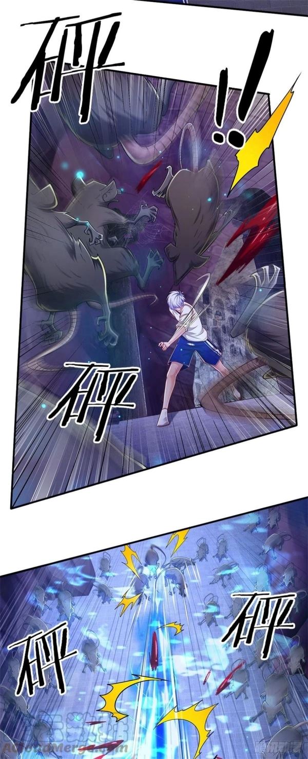 Panel 11