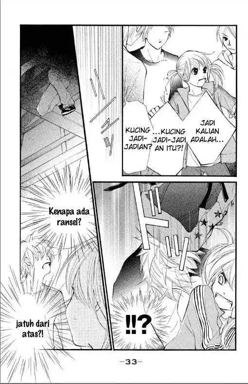 Panel 34
