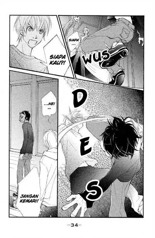 Panel 35