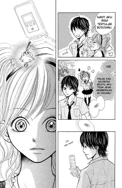 Panel 19