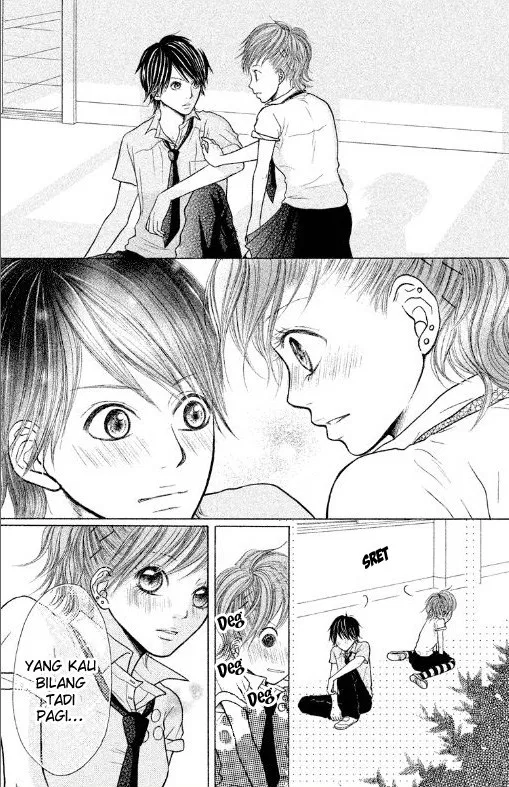 Panel 13