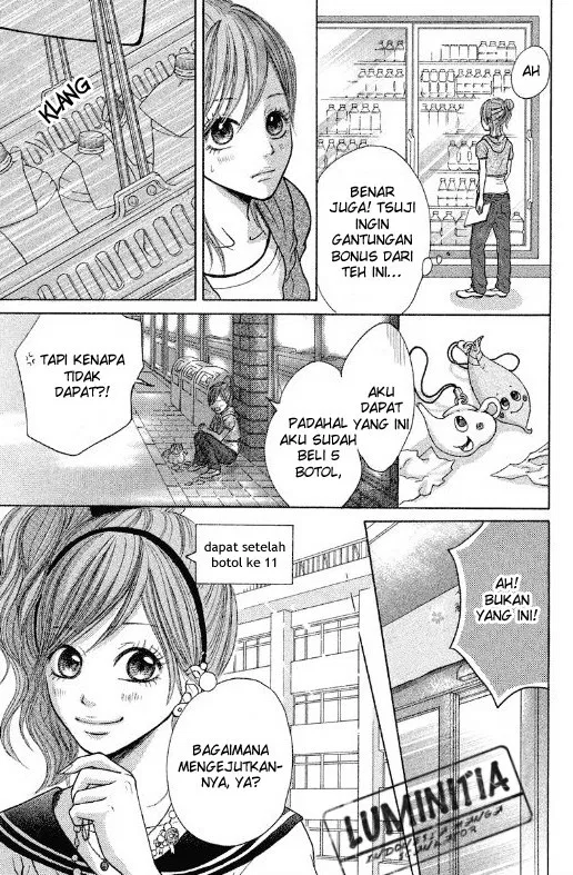 Panel 17