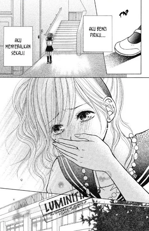 Panel 31