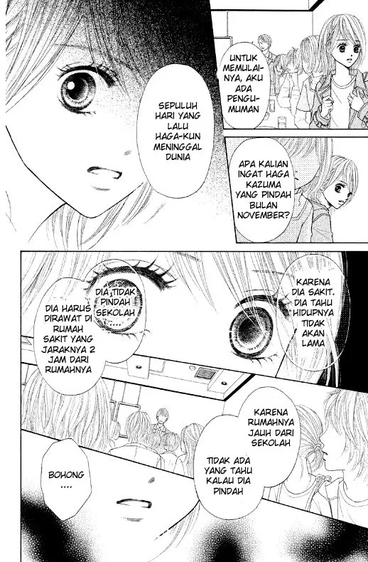 Panel 7