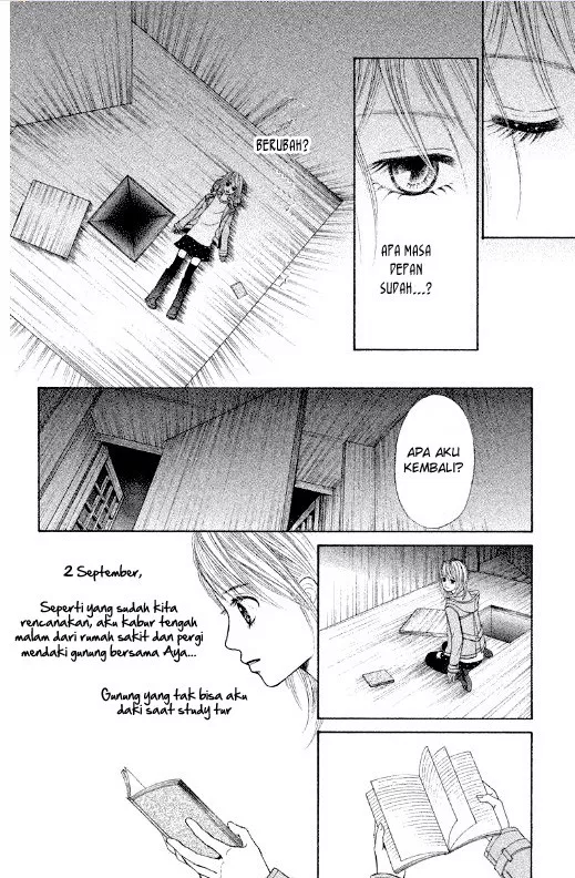 Panel 55