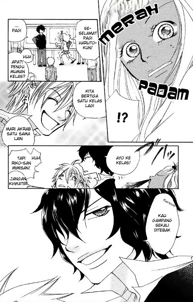 Panel 7