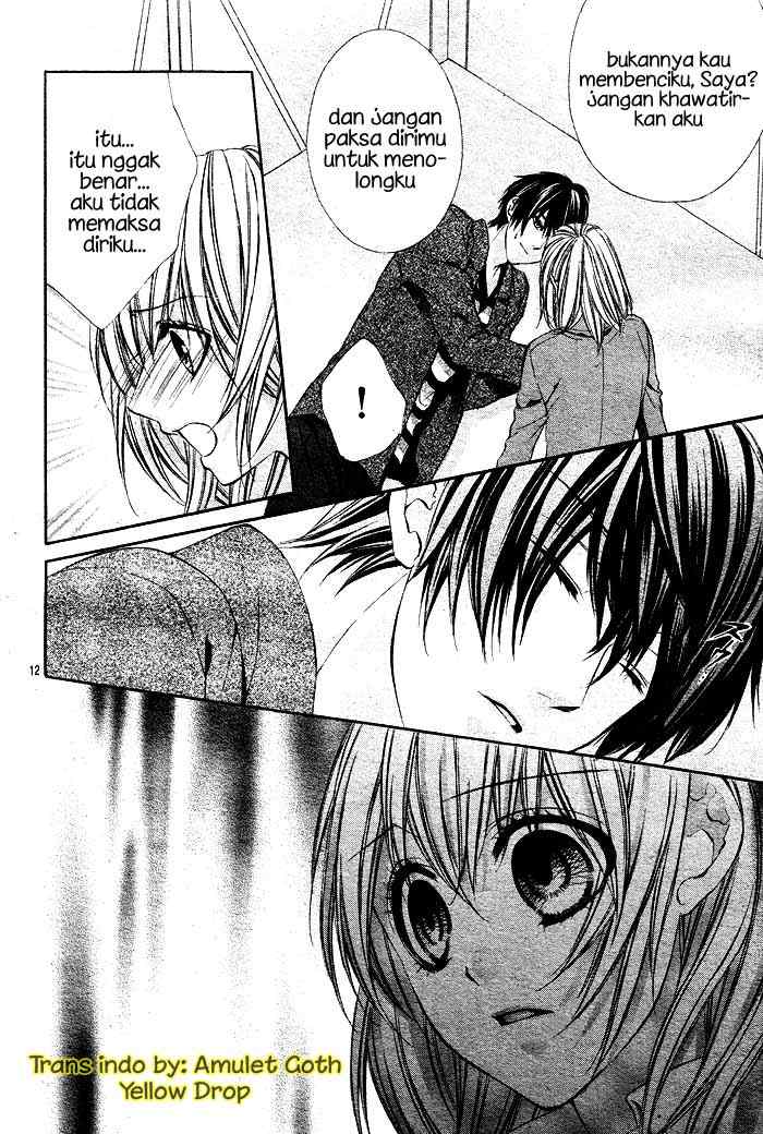 Panel 12