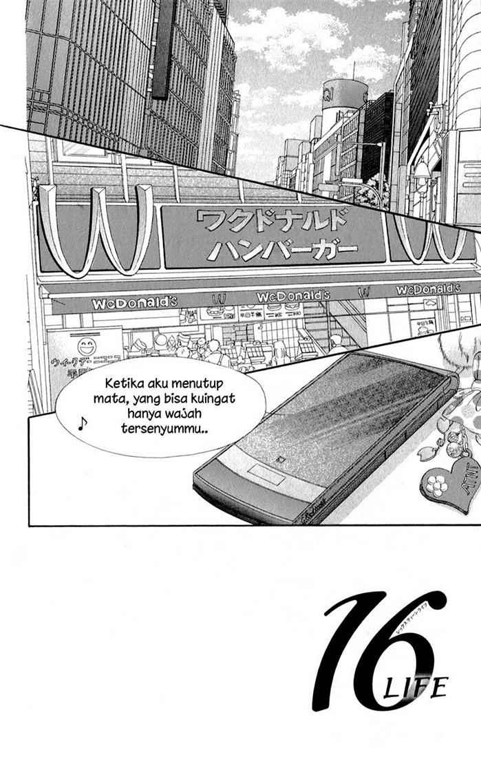 Panel 6