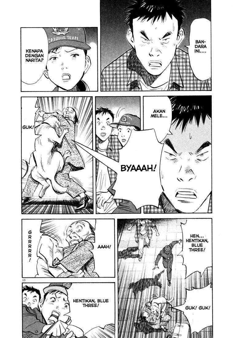 Panel 11
