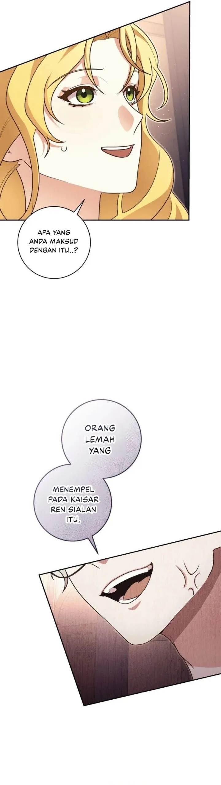 Panel 17