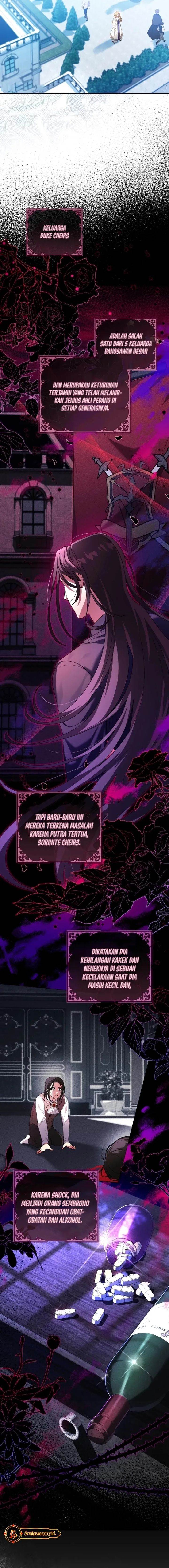 Panel 13