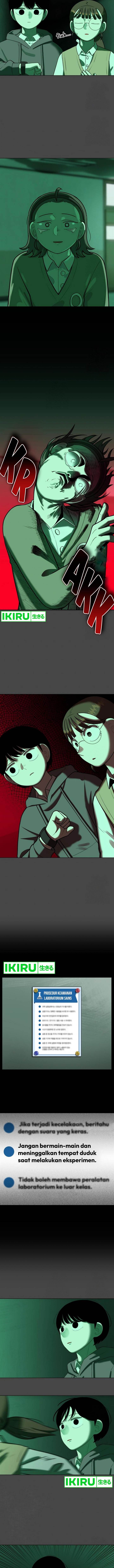 Panel 11
