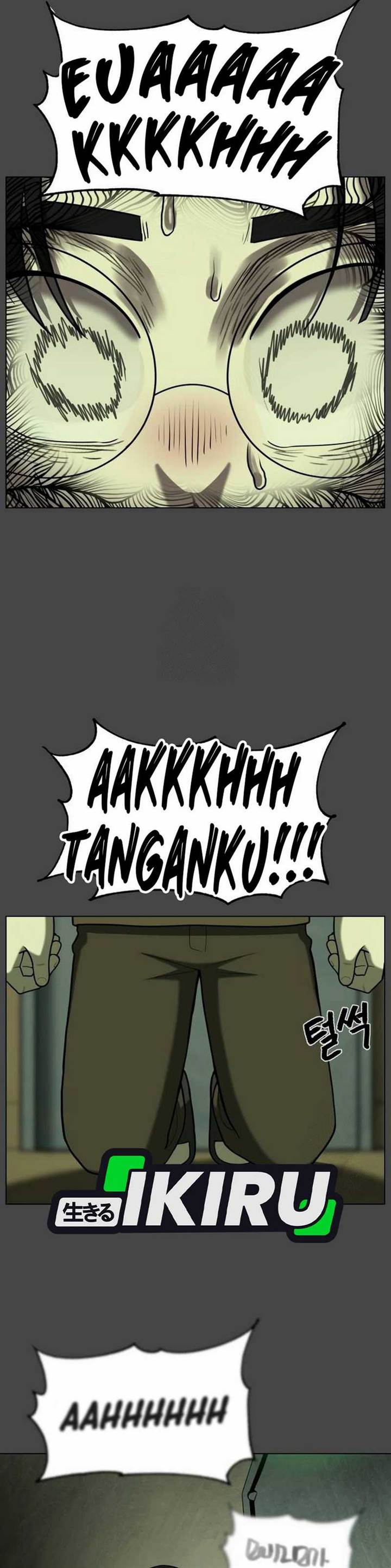 Panel 27