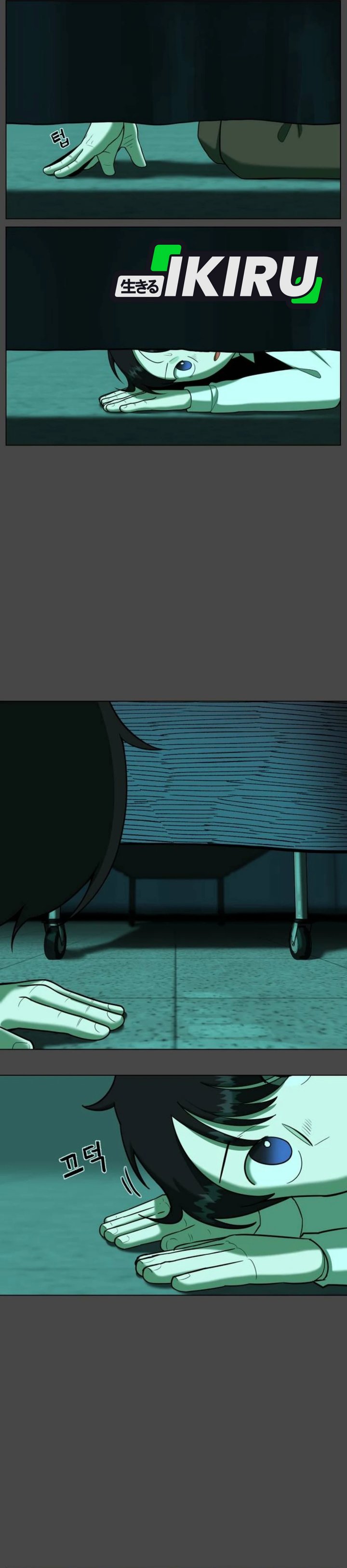 Panel 11