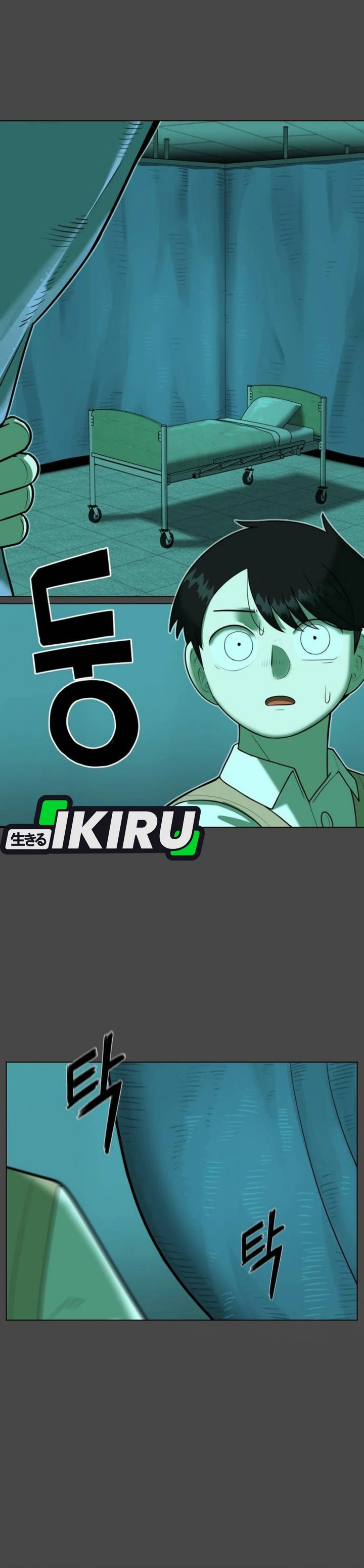 Panel 19