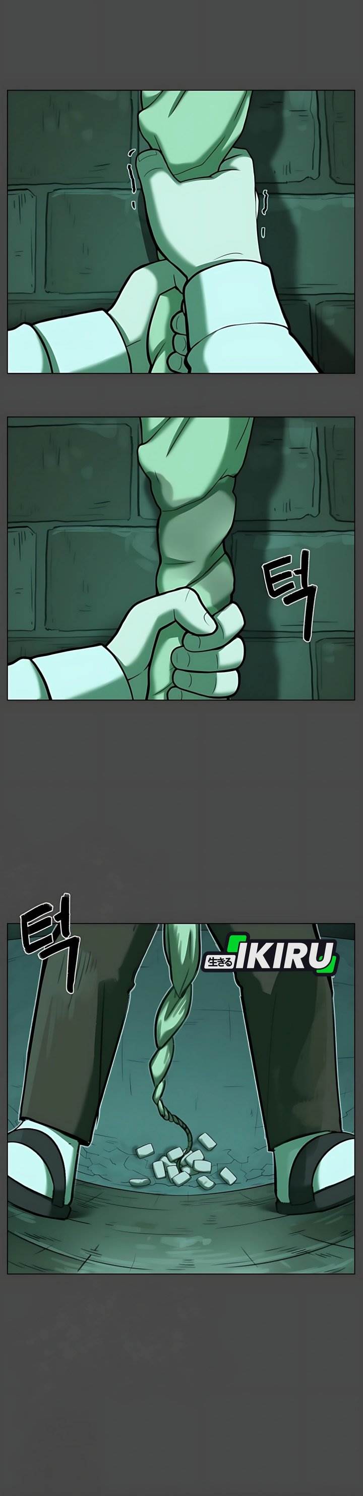 Panel 27