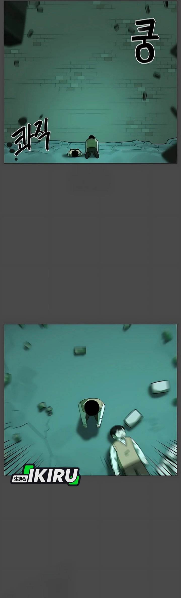 Panel 11