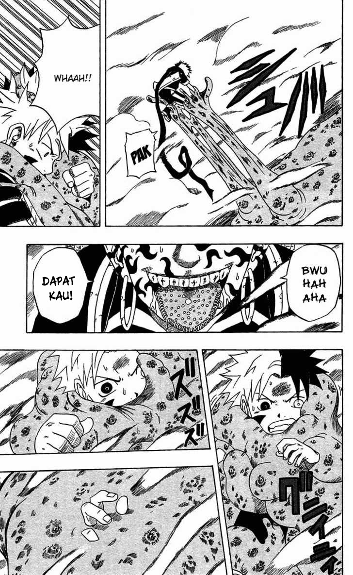 Panel 14