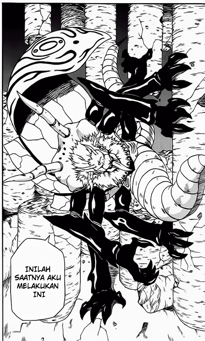 Panel 24