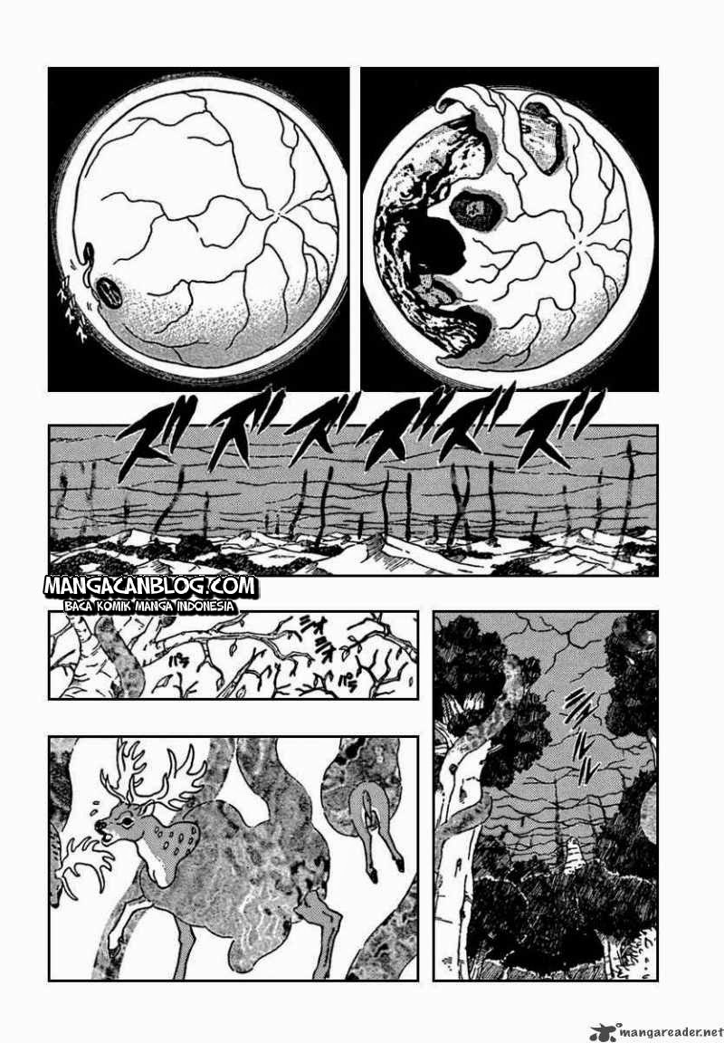 Panel 17