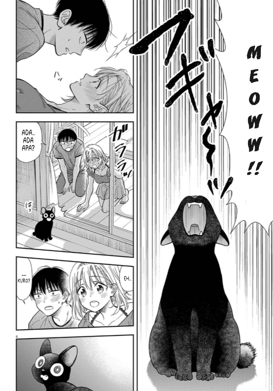 Panel 6