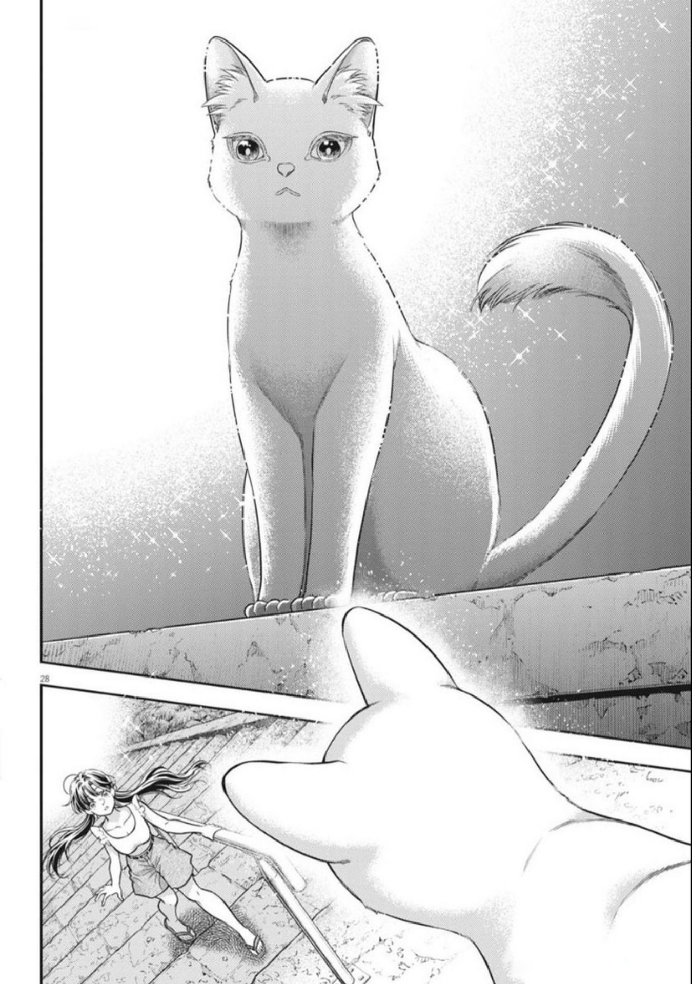 Panel 28
