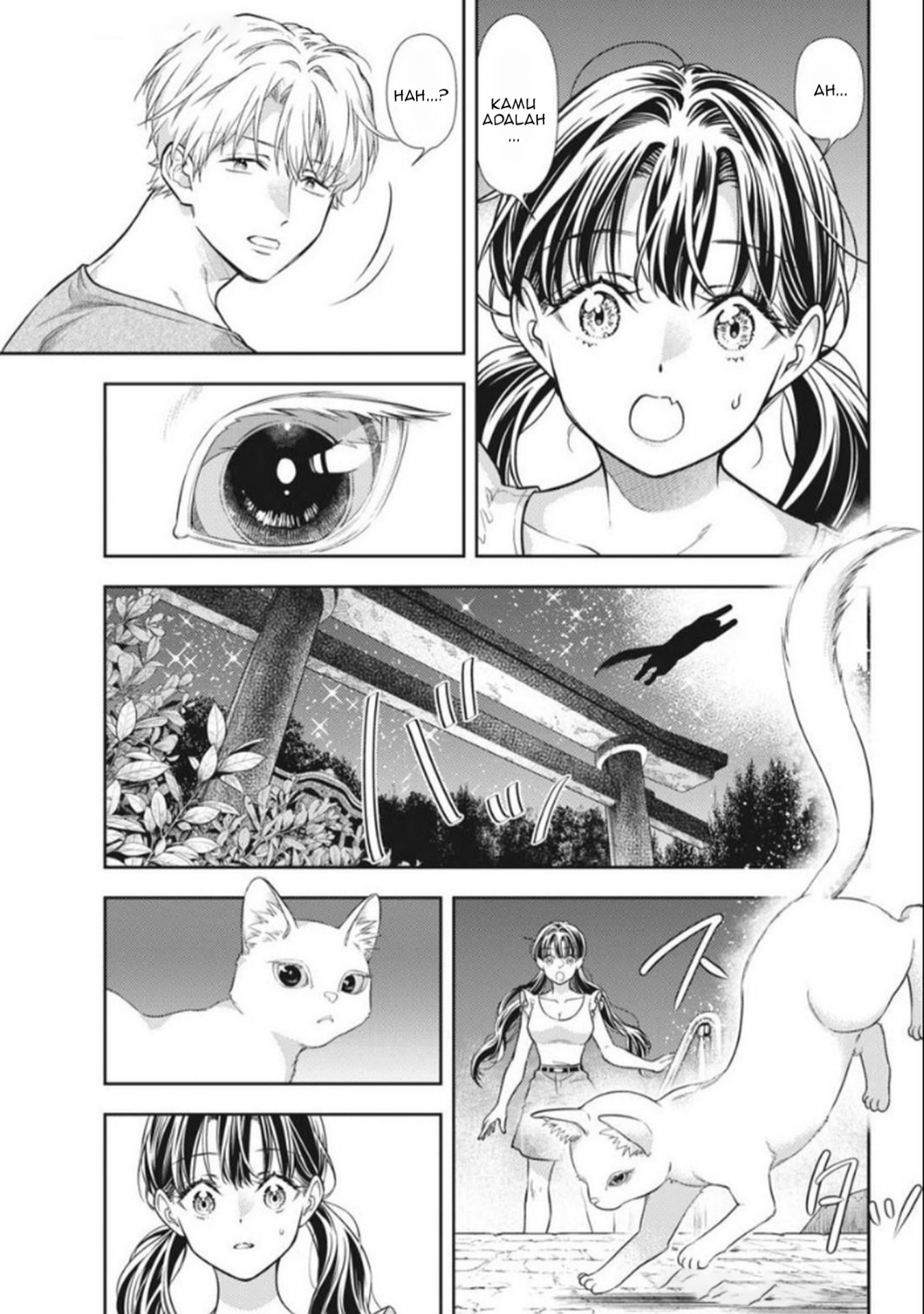 Panel 29