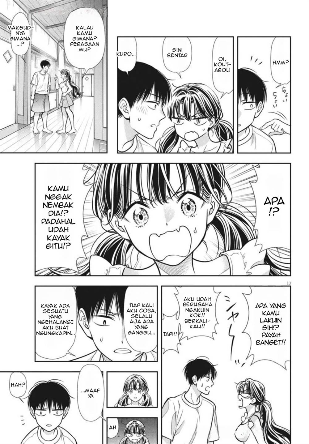 Panel 13