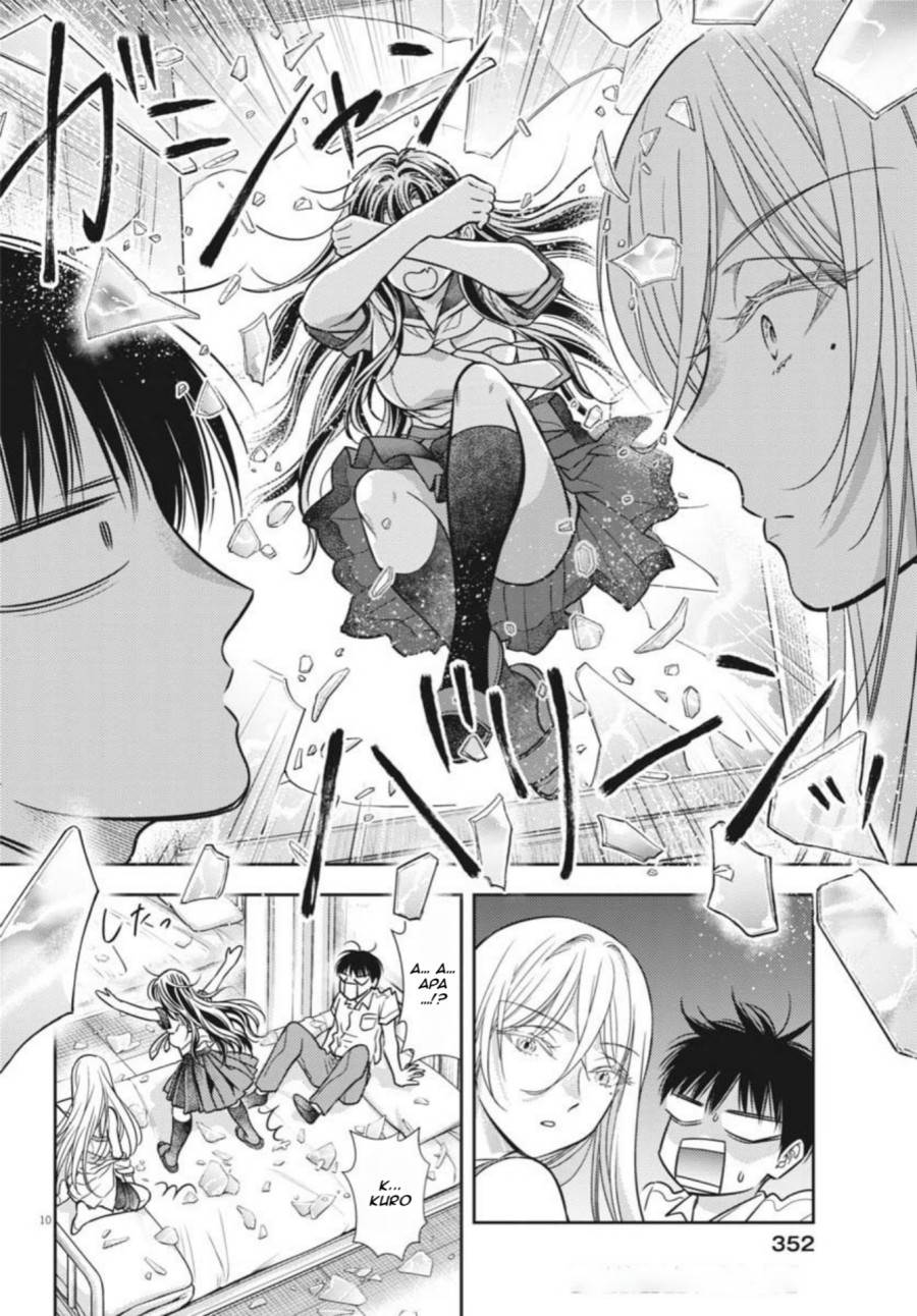 Panel 11