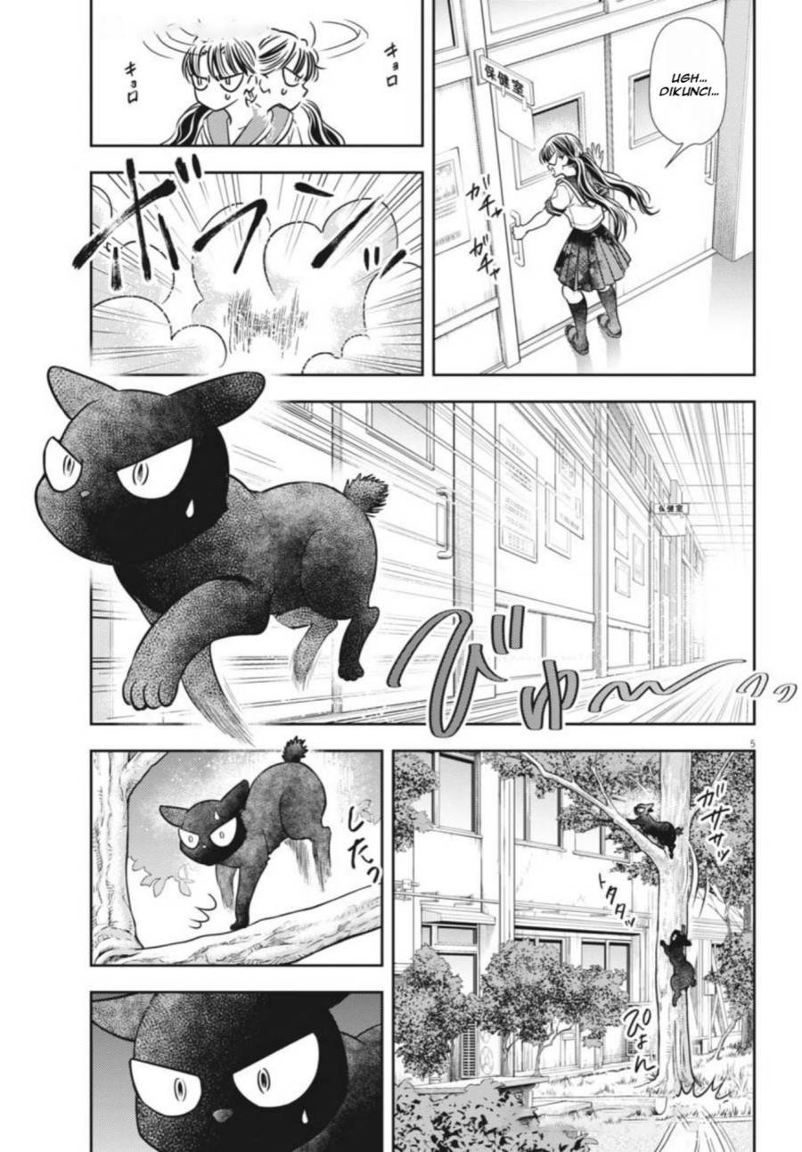 Panel 6