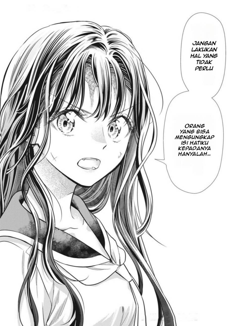 Panel 13