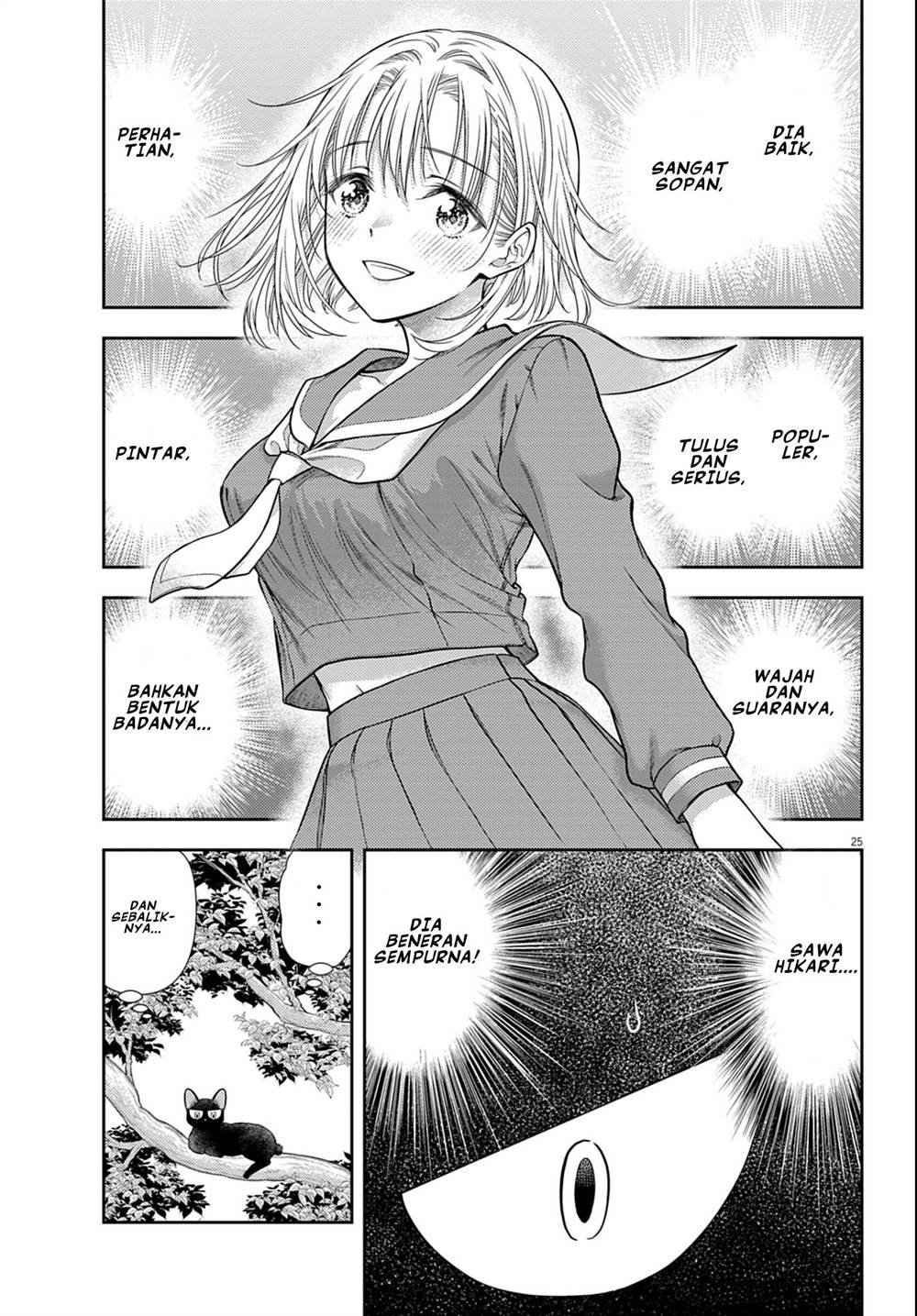 Panel 25