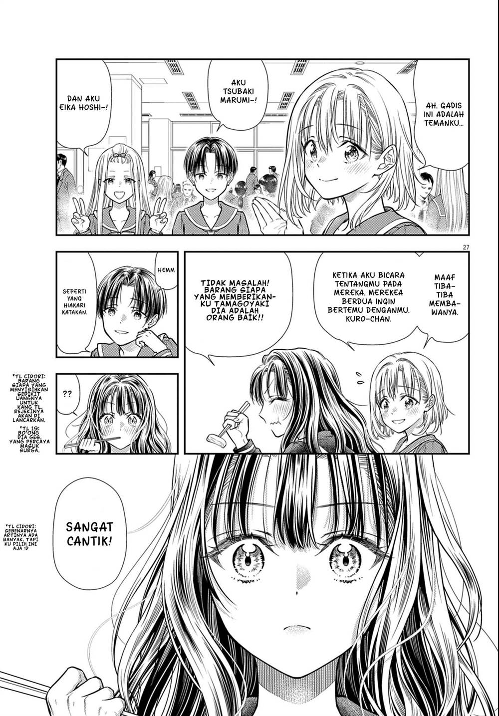 Panel 27