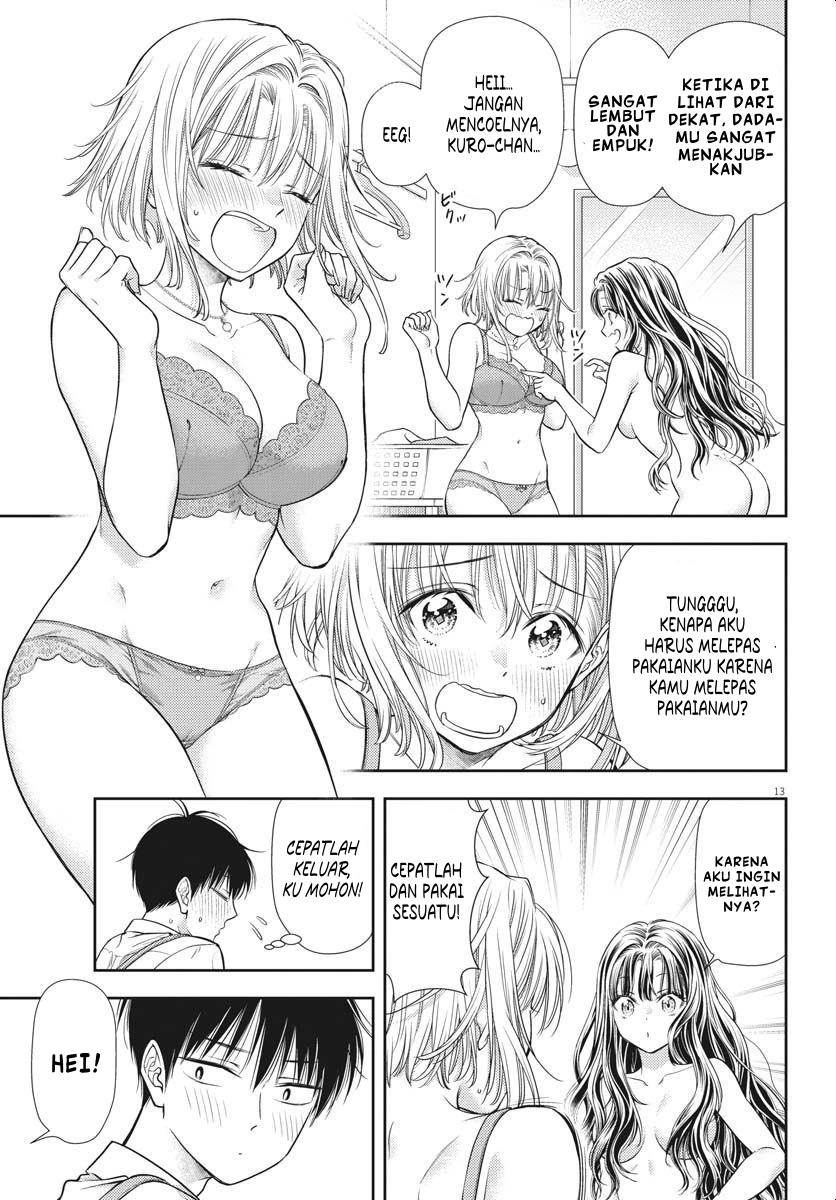 Panel 13