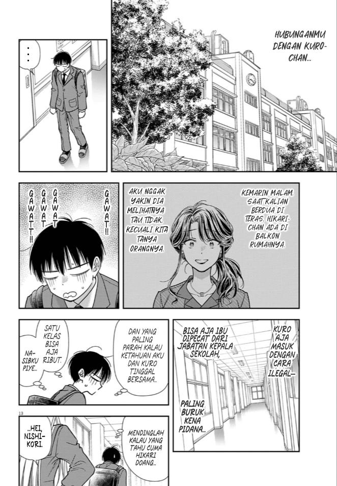 Panel 13