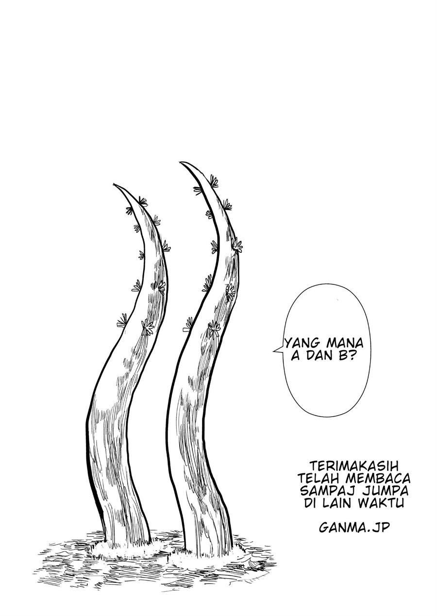 Panel 17