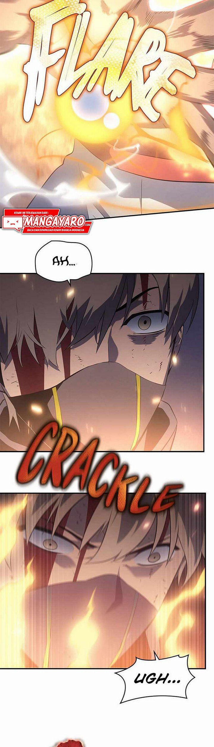 Panel 24