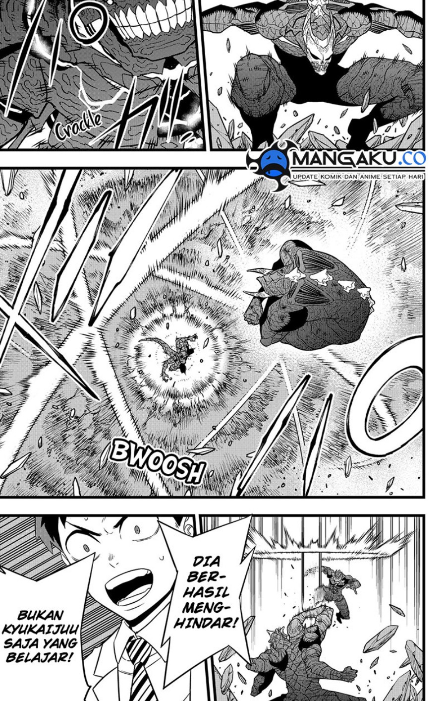 Panel 11