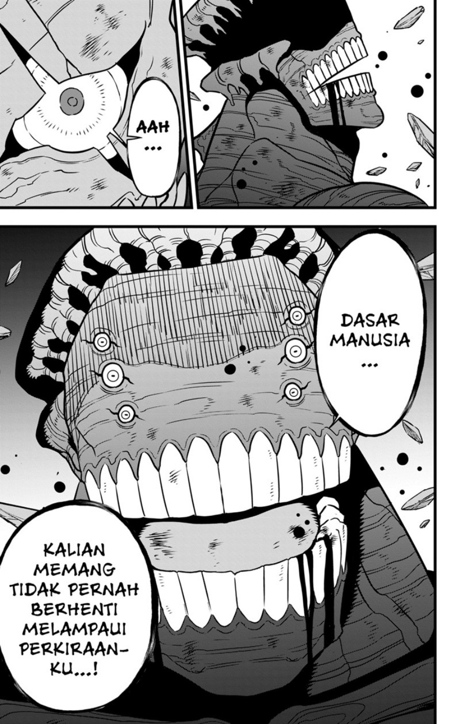 Panel 13